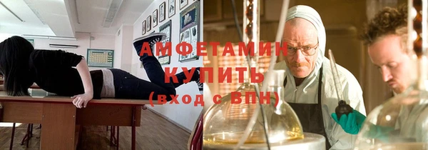 гидра Абаза