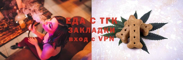 гидра Абаза