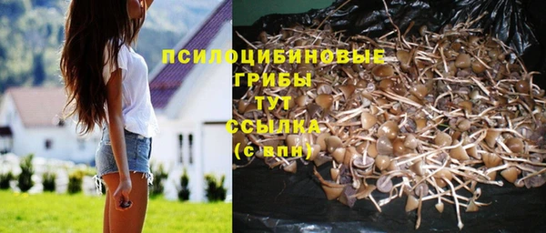 кокс Алексин