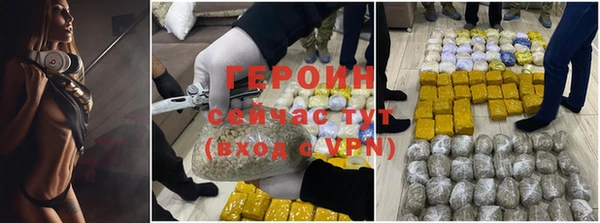 гидра Абаза