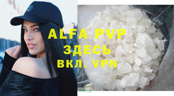 гидра Абаза